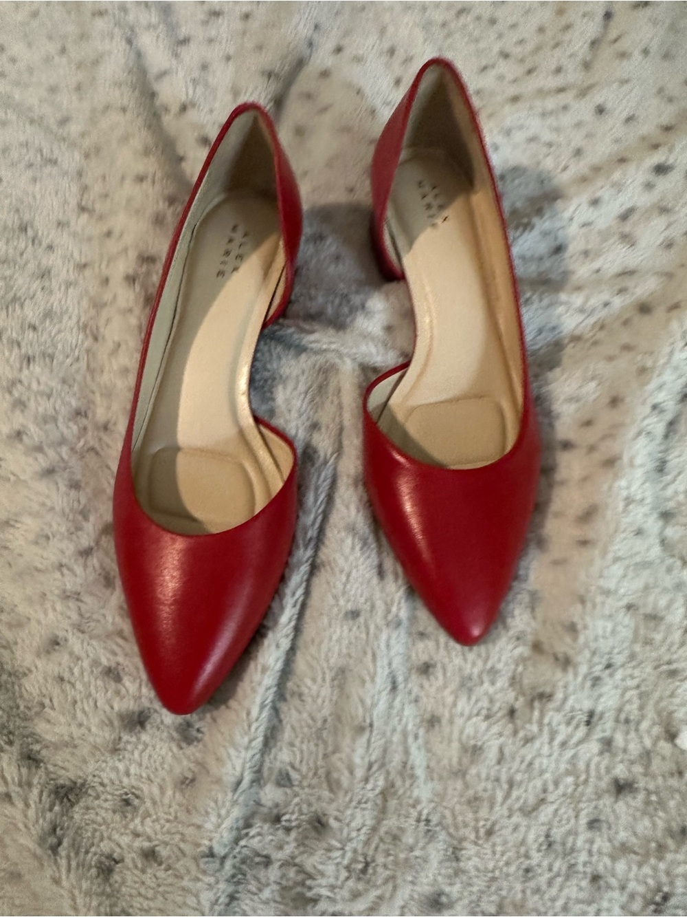 Alex Marie Red Pointed Toe Low Heel Pumps
